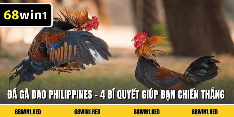 Đá Gà Dao Philippines - 4 Bí Quyết Giúp Bạn Chiến Thắng